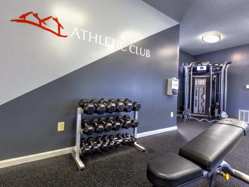 This image showcases the 24-hour athletic club and virtual program. The club is also giving different weightlifting types of equipment, special abs equipment, and spin bikes that could fulfill the needs of fitness enthusiasts and professionals.